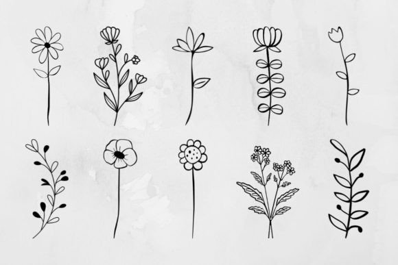 Flowers, Plant Outline Svg Bundle: A Designer's Review