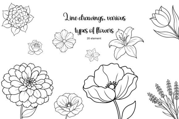 Line Art Flowers: Premium Graphics for Blog Illustrations