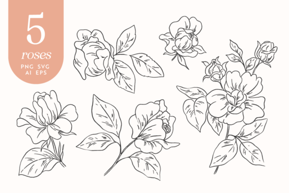 Roses Vector Graphics & Illustrations for Crafters