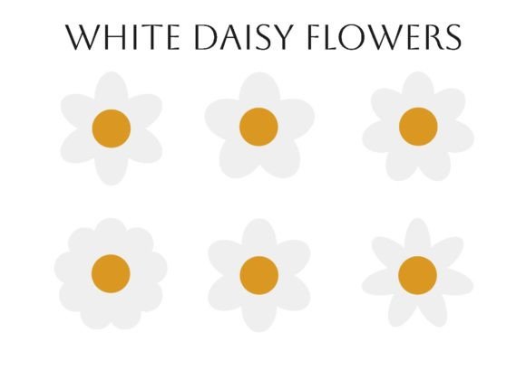 White Daisy Flowers: Fresh Graphics & Illustrations